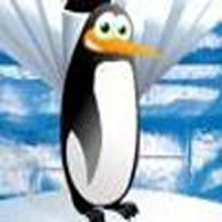 Pinguin Schiessen Online Kostenlos Spielen Pinguin Schiessen Online Kostenlos Spielen