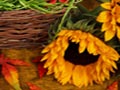 Jigsaw Puzzle: Sonnenblume im Herbst