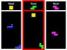 Tetris Spiele